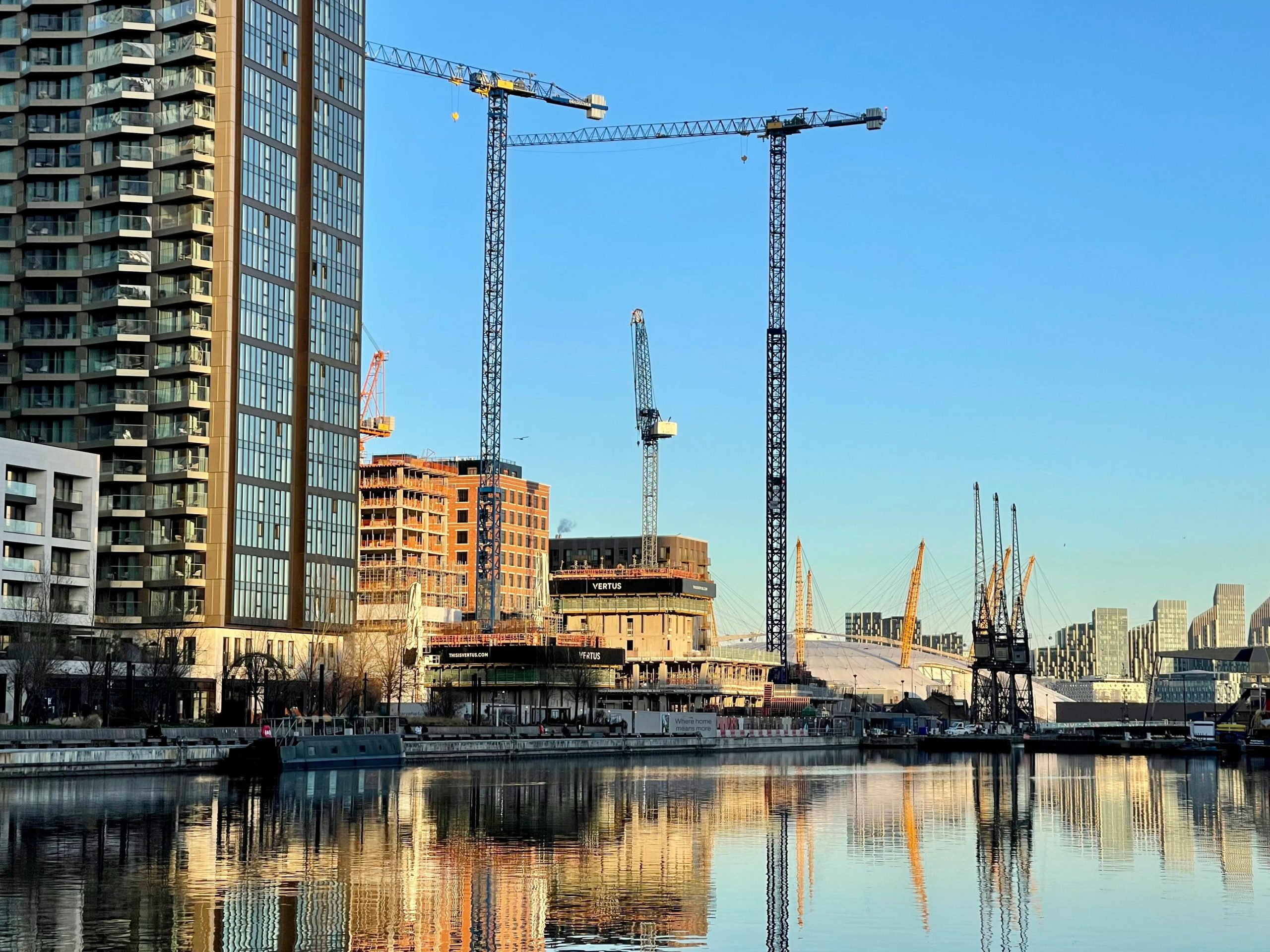 pexels anna rynkowska 118639719 15250361